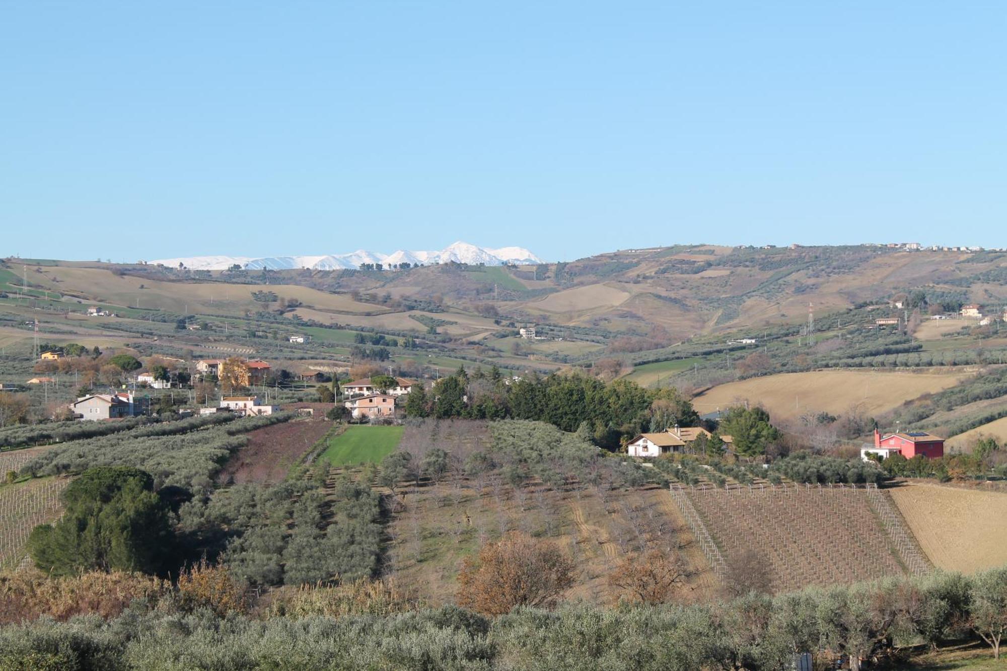 Colline Del Sole Bed & Breakfast San Salvo Luaran gambar